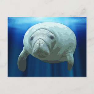 Manatear Cartões postais