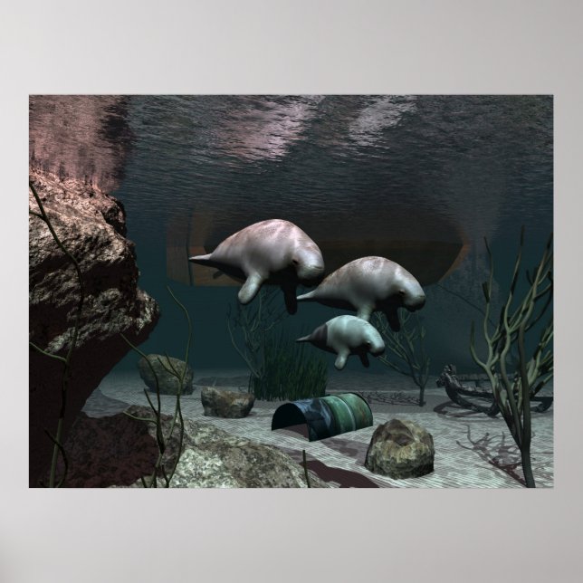 Manatee poster (Frente)