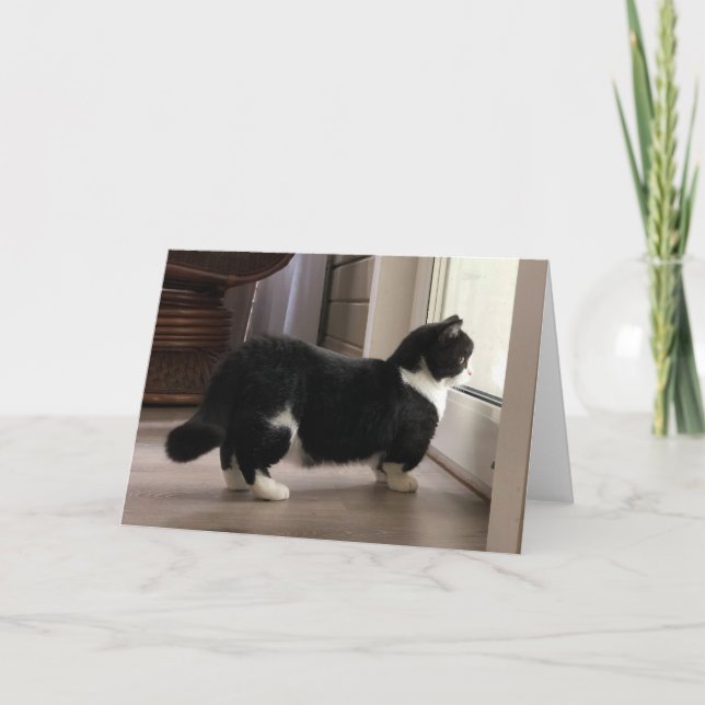 Manchester é um cartão de espera (Frente)