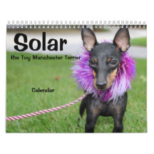 Manchester Terrier Médio 2021 Calendário A