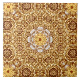 Mandala ambarina