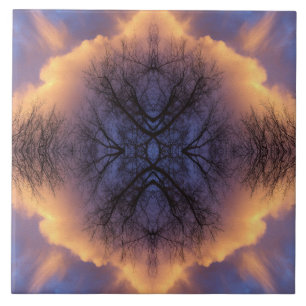 Mandala de Galhos de Árvore e Nuvens da Natureza S