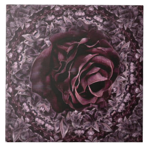 Mandala de Rosa