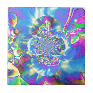 Mandala solar de mirtilo