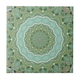 Mandala Suculento