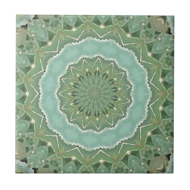 Mandala Suculento (Frente)