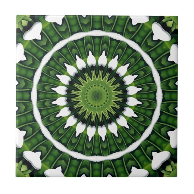 Mandala Verde Tropical (Frente)