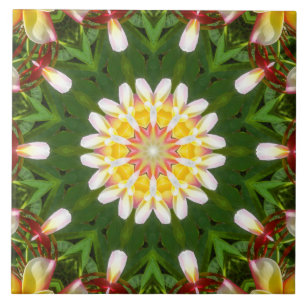 Mandalas de Flor de Plumeria com Simetria Tropical
