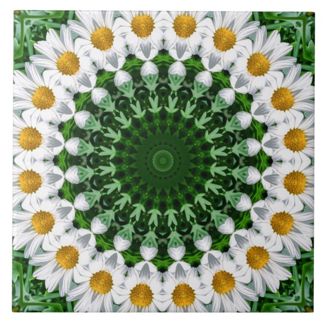 Mandalas de Margarida Branca com Simetria Verde Fr (Frente)