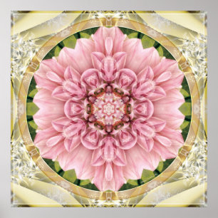 Mandalas do coração do poster da liberdade 13