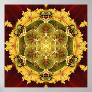 Mandalas por épocas do poster da transição 8