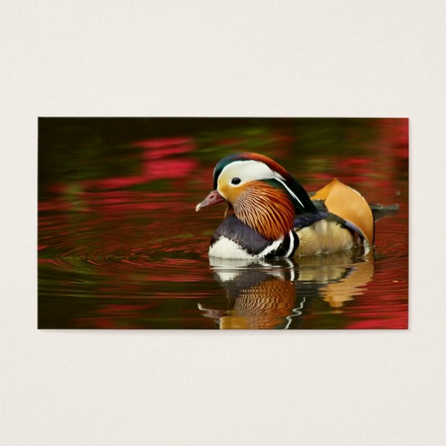 Mandarin Duck (Frente)