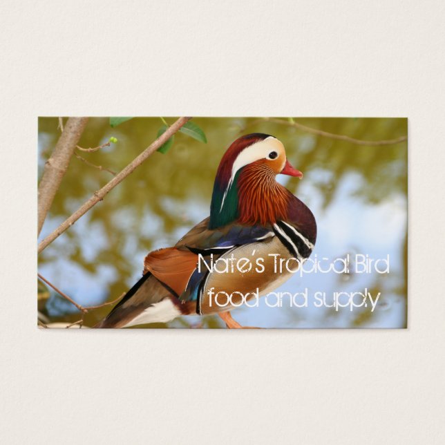 Mandarin Duck (Frente)