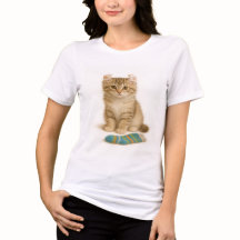 Mande-o para mim - American Curl Kitten Edition