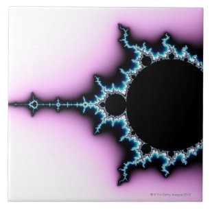 Mandelbrot 5