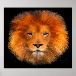Mane Poster Art de Lion