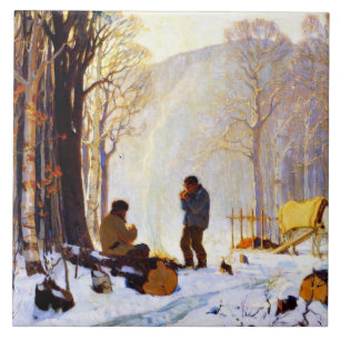 Manhã cedo na Floresta