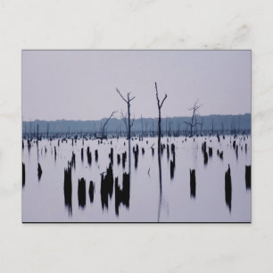 "Manhã de luto" - Cartão postal