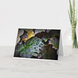 Manhã de mascar, cartão