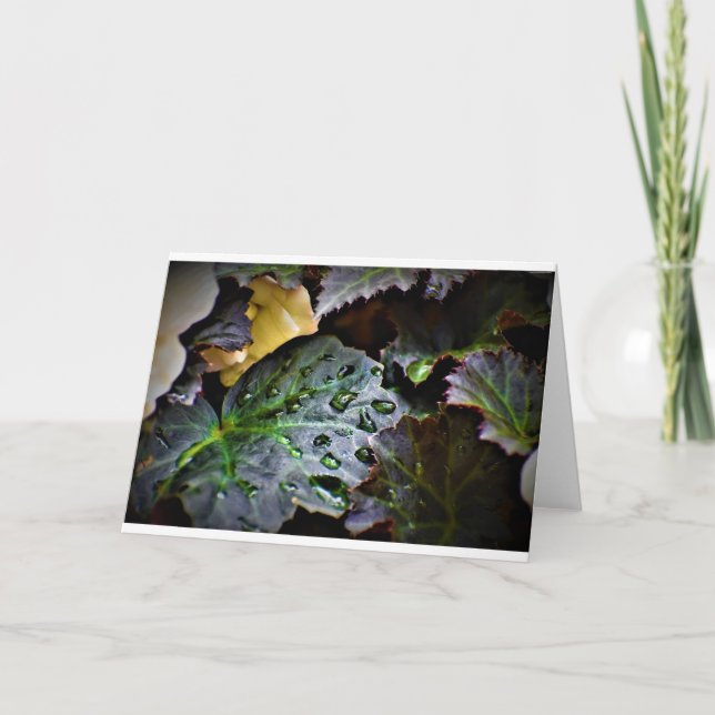 Manhã de mascar, cartão (Frente)