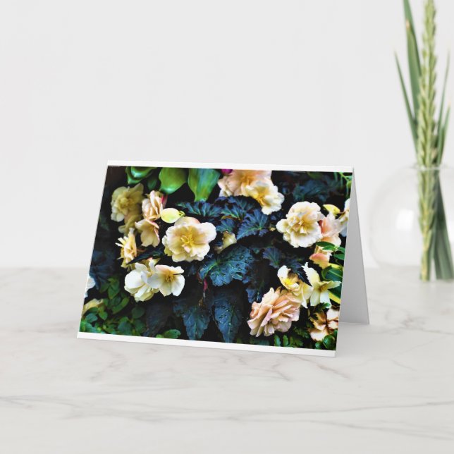 Manhã de mascar, cartão (Frente)