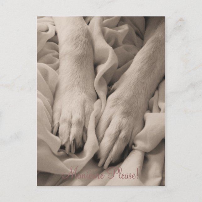 Manicure por favor ~ Cartão postal (Frente)