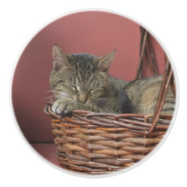 Manípulo de cerâmica de Gatinho dormente