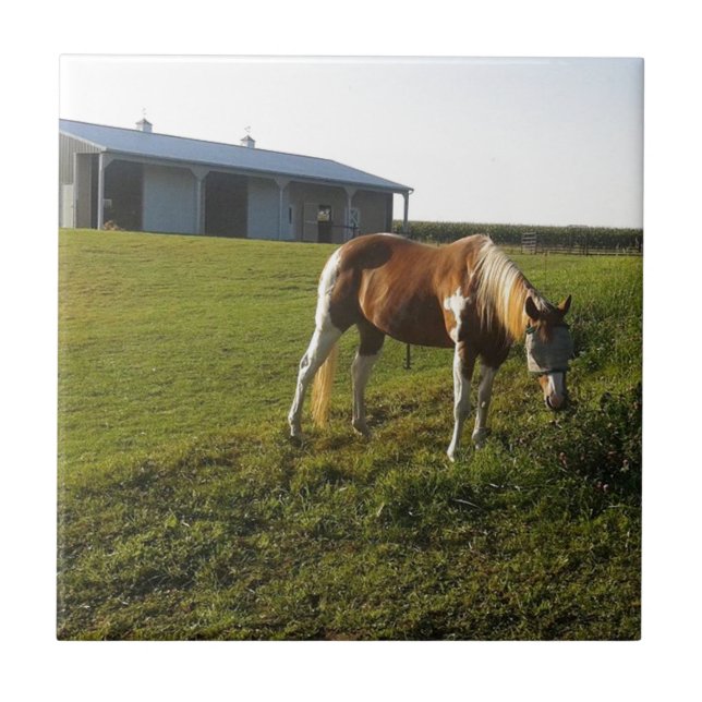 Manning Graze (Frente)