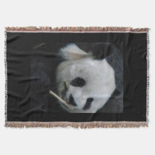 Manta Abraço de Panda