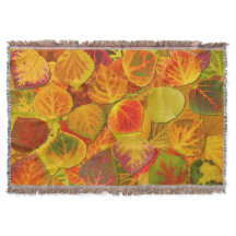 Aspen Deixa Collage Sólido Medley 1