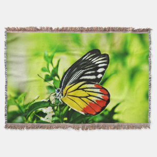 Manta Bela Borboleta nas Flores