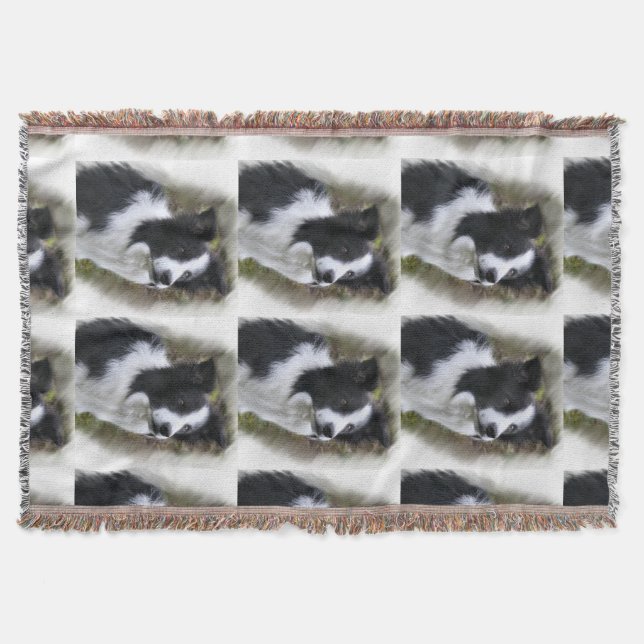 Manta Border Collie Art (Frente)