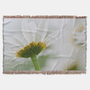 Manta Canadá, New Brunswick,