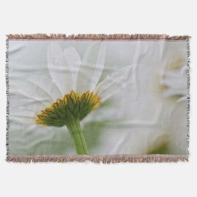 Manta Canadá, New Brunswick, (Frente)