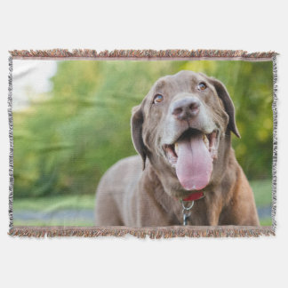 Manta Cão de Chocolate