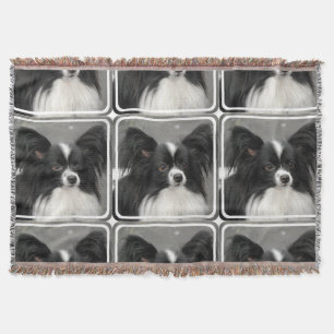 Manta Cão de Papillon