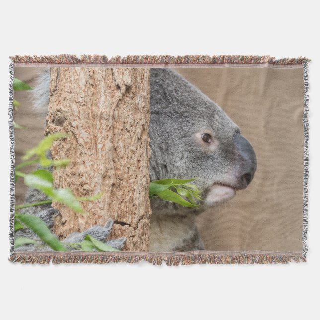 Manta Captura de Koala (Frente)