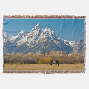 Manta Cavalo e Grand Tetons, Moose Head Ranch