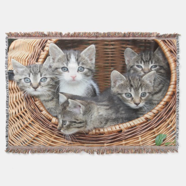 Manta Cheio De Cesta De Gatinhos (Frente)