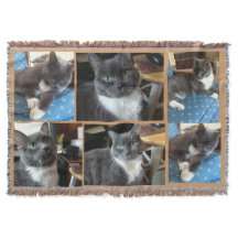 "Cobertura personalizada da foto "