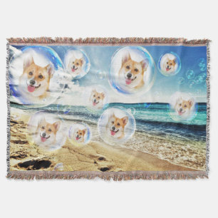 Manta Corgis da praia