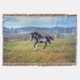 Manta Correndo Pinto Pintor e Misty Morning no Ranch