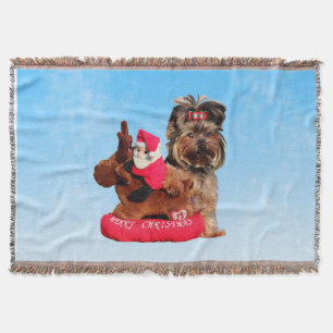 Manta Cute Yorkshire Terrier Felry Natal