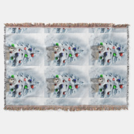 Manta Dandie Dinmont Christmas