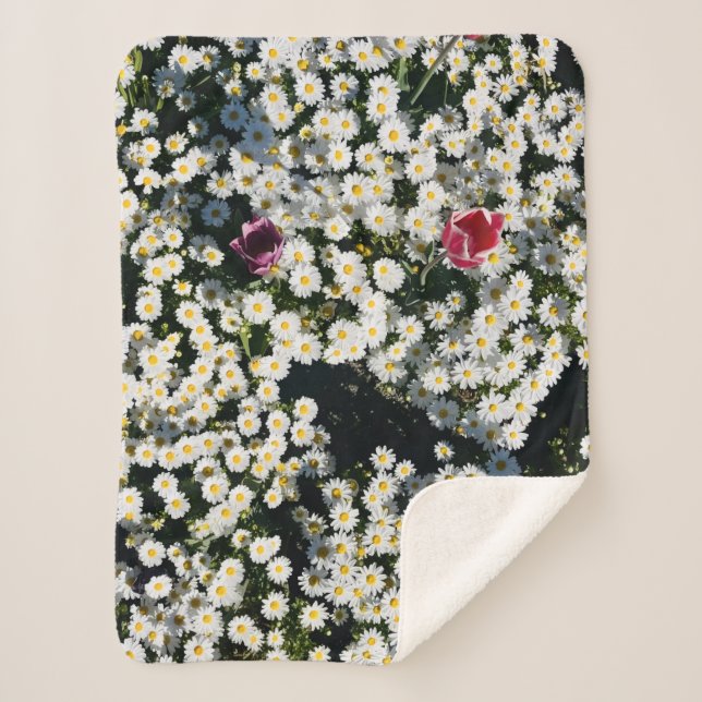 Manta de Bebê Daisy Meadow Sherpa (Frente)