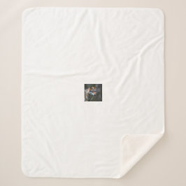 Manta de Fleece e Sherpa 