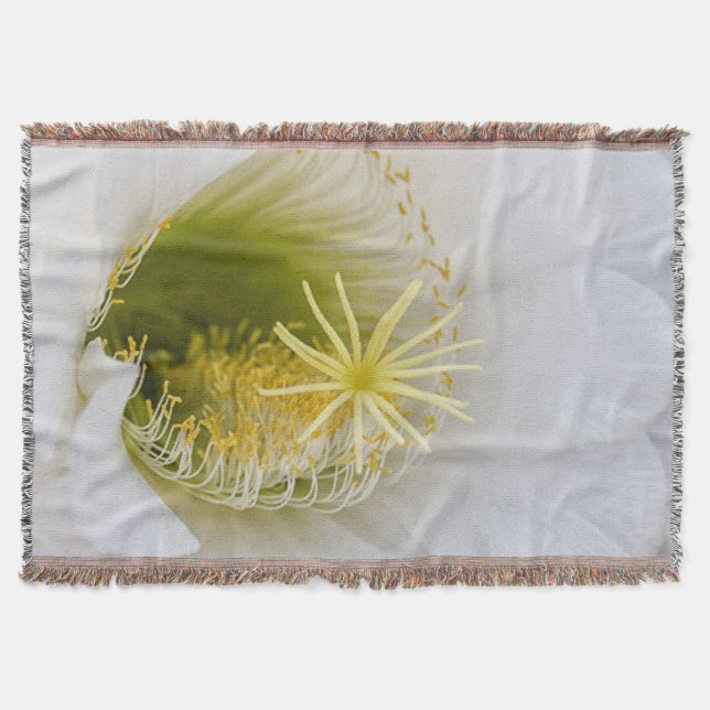 Manta Dentro de um cacto branco em flor (Frente)