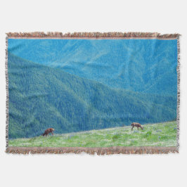 Manta Dinheiro das montanhas