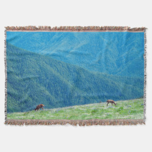 Manta Dinheiro das montanhas