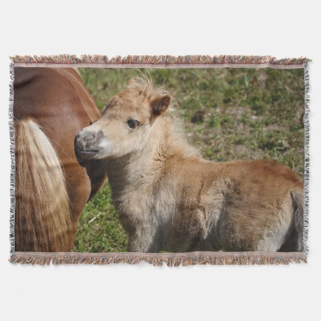 Manta Doce Haflinger Foal (Frente)